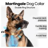 TOBYTO Martingale Dog Collars for Small Medium Large Dogs, No Pull Dog Training Collars Quick Release Buckle Adjustable Martingale Collars Escape Proof, Yellow(L:17-21)