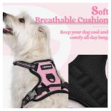 rabbitgoo Dog Harness No Pull with 2 Leash Clips, Adjustable Soft Padded, Reflective Oxford No Choke Pet Vest with Easy Control Handle for Puppy, Pink, S