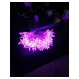 APPEARS NEW - Minetom Star String Lights Battery Operated - 17 ft 50 LED Color Changing Star Fairy Light with Remote and Timer, 16 Single Colors and 7 Modes Starry Lights for Bedroom Dorm Tent Bed Pat