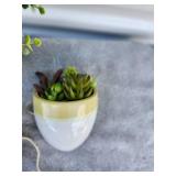 White and Yellow Ceramic Hanging Planters Set