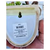 White and Yellow Ceramic Hanging Planters Set