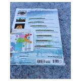 Final Fantasy XII BradyGames Strategy Guide