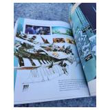 Final Fantasy XII BradyGames Strategy Guide