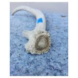 Authentic Deer Antler Specimen