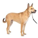 PetSafe Gentle Leader Headcollar No-Pull Dog Collar - Helps Improve Walks - Durable Nylon Construction - Padded Nose Loop - Adjustable Fit - Comfort Walking Halter - Medium, Fawn PetSafe Gentle Leader Headcollar No-Pull Dog Collar - Helps Improve Walks - Durable Nylon Construction - Padded Nose Loop - Adjustable Fit - Comfort Walking Halter - Medium, Fawn