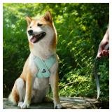 Patas Lague Dog Harness with Leash Set with Poop Bags and Dispenser, Light Green XS - Retail: $9