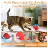 2025 New 3Pack Cat Ball Kitten Toys for Indoor Interactive Kitty Ball Toy Speedy Tail 360° Automatic Rolling(Red Grey Green) Retail $20
