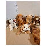 TY Beanie Babies