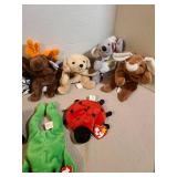 TY Beanie Babies
