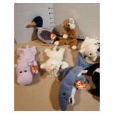 TY Beanie Babies