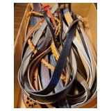 Ladies belts