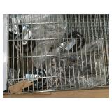 TRINITY 6-Tier Wire Shelving Rack  48 x18 x72 *lightly damaged (see photos)  - Retail: $300