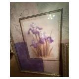2 IRIS PICTURES- BB