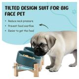 SPUNKYJUNKY 15° Slanted Ceramic Dog and Cat Bowl with Wooden Stand, Tilted Bulldog Food and Water Bowl No Slip Non-Spill for Cats Medium Dogs Big Face Pets 13.5 OZ (1.7 Cups, Green × 2) - Retail: $3