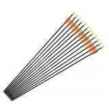 Fiberglass Arrows Archery 28Inch Target Shooting Practice Safetyglass Recurve Bows Suitable for Youth Children Woman Beginner 6 PCS