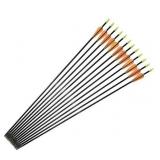 Fiberglass Arrows Archery 28Inch Target Shooting Practice Safetyglass Recurve Bows Suitable for Youth Children Woman Beginner 6 PCS