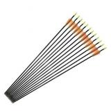 Fiberglass Arrows Archery 28Inch Target Shooting Practice Safetyglass Recurve Bows Suitable for Youth Children Woman Beginner 6 PCS