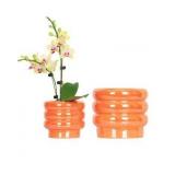 7.8 Inch + 5.7 inch 2 pcs Ceramic Plant Pots for Indoor Plants, Rainbow Pearl Glaze Planter with Planters for Plants with Drainage Hole, Orchid Pots, Succulent Pot, Flower Pot (Orange
