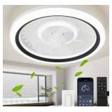 Ceiling Fan with Lights