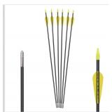Fiberglass Arrows Archery 27\" yellow