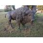 North Wichita Auction - Life Size Bronze Buffalo, Silver Coins, Commercial Pressure Steam Cleaner, Electronics, Comic Books, HVAC Parts, and Much