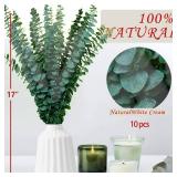 10Pcs Dried Eucalyptus Stems for Shower 17\" Real Natural Hanging Eucalyptus Stems, Real Fresh Leaves Branches for Vase Filler, Wedding, Bathroom Decor, Home Decor, Dried Flowers Arrangement Decor