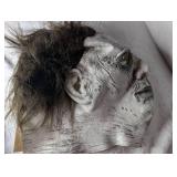 Micheal Myers Halloween Mask
