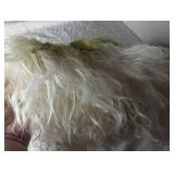 Beetlejuice Green Costume Wig Cap