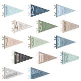 VitalCozy 14 Pcs Baby Milestone Pennant Signs Monthly Milestone Banner Flags Pennant Triangle Banner Age Flag Signs for Boy Girl Newborn Birthday Party Decor(Ocean Color) - Retail: $25