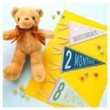 VitalCozy 14 Pcs Baby Milestone Pennant Signs Monthly Milestone Banner Flags Pennant Triangle Banner Age Flag Signs for Boy Girl Newborn Birthday Party Decor(Ocean Color) - Retail: $25