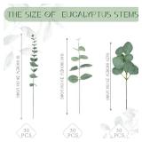 Giegxin 90 Pcs 3 Kinds Mixed Eucalyptus Leaves Stems Bulk Artificial Silver Dollar Leaves Picks Dried Eucalyptus Bundle Faux Spray for Wedding Vase Bouquet Floral Arrangement (Green) - Retail: $24