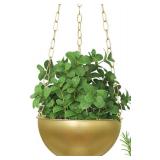 Hanging Planters For Indoor Plant Decorative Window Wall Ceiling Hanging Pot with Drainage Indoor Outdoor, Hanging Plant Holder For Succulents Herb Fern Orchid Flower for Kitchen SINGLE - Retail: $33