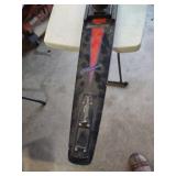 EP Exceptional Performance Spazer Snow Skis
