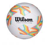 Wilson Pentagon Pro Target Size 3 Soccer Ball, Composite Shell