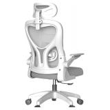 $209 COYOUCO Ergonomic Mesh Office Chair with Lumbar Support, Silver