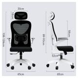$209 COYOUCO Ergonomic Mesh Office Chair with Lumbar Support, Silver