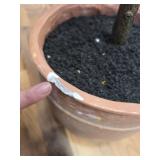 4FT Olive Tree Artificial Plant with Lifelike Fruit