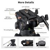 Retails for $135! Cayer BV30L Video Tripod System, 72" Heavy Duty Aluminum Twin Tube Tripod with K3 Fluid Head, 75mm Flat Base, Max Load 13.2lbs, for DSLR Cameras, Camcorders, Includes 2 Quick Release