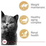 Royal Canin Appetite Control Spayed/Neutered 12+ Dry Adult Cat Food, 7 lb bag