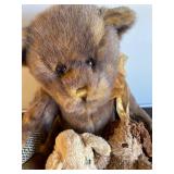Stuffed Animals, Bear, Dogs and More