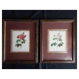 BOTANICAL ROSES PRINTS FRAMED Approximately 15 by 12 BOTANICAL ROSES PRINTS FRAMED Approximately 15 by 12