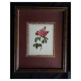 BOTANICAL ROSES PRINTS FRAMED Approximately 15 by 12 BOTANICAL ROSES PRINTS FRAMED Approximately 15 by 12