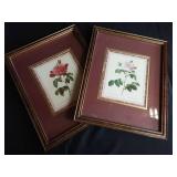 BOTANICAL ROSES PRINTS FRAMED Approximately 15 by 12 BOTANICAL ROSES PRINTS FRAMED Approximately 15 by 12