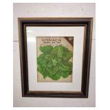 Framed Vintage Seed Picture Framed Vintage Seed Picture