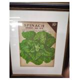 Framed Vintage Seed Picture Framed Vintage Seed Picture