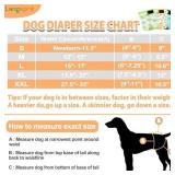 Langsprit Washable Female Dog Diapers (3 Pack) - No Leak Reusable Diapers for Doggy Female in Period - Highly Absorbent Dog Heat Panties with Adjustable Snaps (Gray, Pink, Blue, Large) Langsprit Washable Female Dog Diapers (3 Pack) - No Leak Reusable Diapers for Doggy Female in Period - Highly Absorbent Dog Heat Panties with Adjustable Snaps (Gray, Pink, Blue, Large)