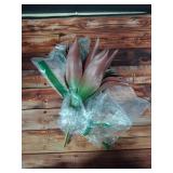 JUSTOYOU Large Artificial Succulents Aloe Plants Real Touch Fake Flowers Unpotted for Home Wedding Festival Arrangement (1, Green-Red) - Retail: $20 JUSTOYOU Large Artificial Succulents Aloe Plants Real Touch Fake Flowers Unpotted for Home Wedding Festival Arrangement (1, Green-Red) - Retail: $20