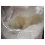 Latepis White Sheepskin Rug 2x3 Faux Fur Sheepskin Rug for Living Room Fluffy Washable Rugs for Bedroom Luxury Room Decor Furry Rugs Rectangle - Retail: $15 Latepis White Sheepskin Rug 2x3 Faux Fur Sheepskin Rug for Living Room Fluffy Washable Rugs for Bedroom Luxury Room Decor Furry Rugs Rectangle - Retail: $15