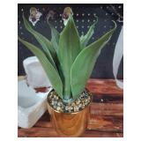 Fake Succulent in Gold Metallic Planter  - Retail: $25 Fake Succulent in Gold Metallic Planter  - Retail: $25