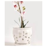 vensovo 5 Inch Ceramic Orchid Pots with Holes and Saucers - 1 Pcs Small Succulent Pot for Repotting, Garden Flowerpots for Plants Indoor and Outdoor Promotes Air Circulation, White - Retail: $24 vensovo 5 Inch Ceramic Orchid Pots with Holes and Saucers - 1 Pcs Small Succulent Pot for Repotting, Garden Flowerpots for Plants Indoor and Outdoor Promotes Air Circulation, White - Retail: $24
